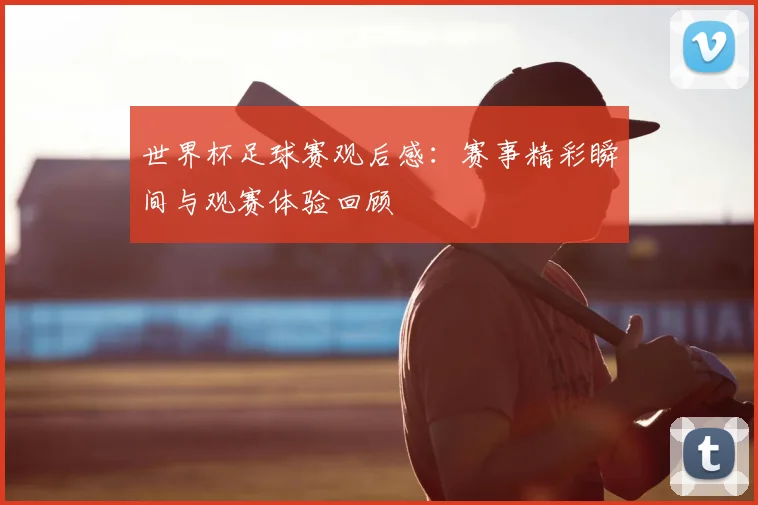 世界杯足球赛观后感:赛事精彩瞬间与观赛体验回顾