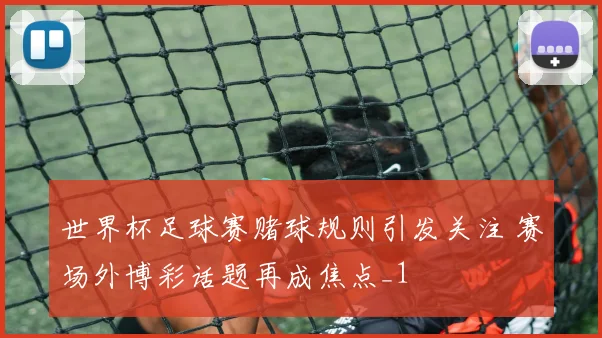 世界杯足球赛赌球规则引发关注 赛场外博彩话题再成焦点_1