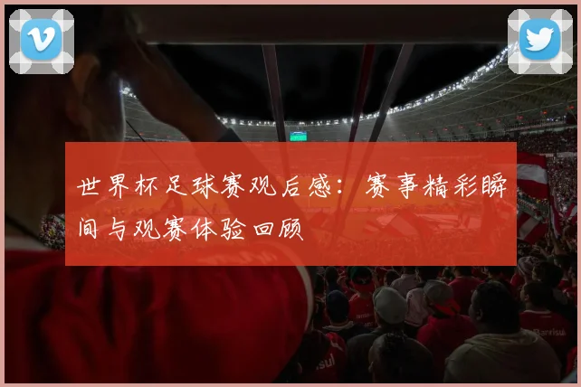 世界杯足球赛观后感：赛事精彩瞬间与观赛体验回顾
